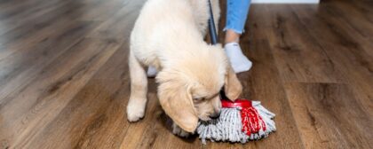 How to clean vinyl floors