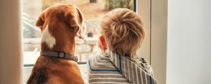 How to make your home more pet friendly