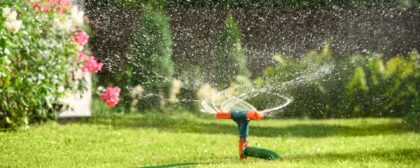 Sprinkler watering grass in garden.