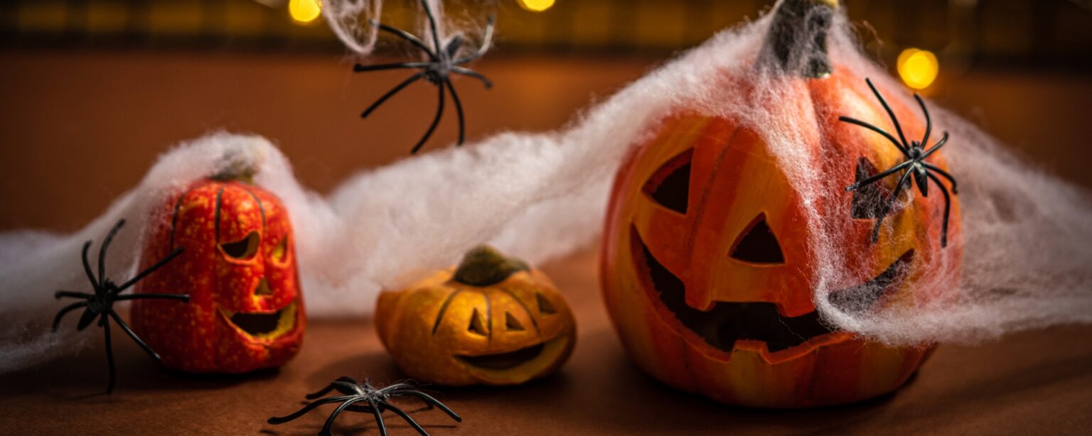 Where to Get Halloween Decorations in South Africa SweepSouth