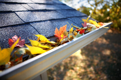 Overlooked Perils: Why Gutter Care Is Crucial for Your Home's Health