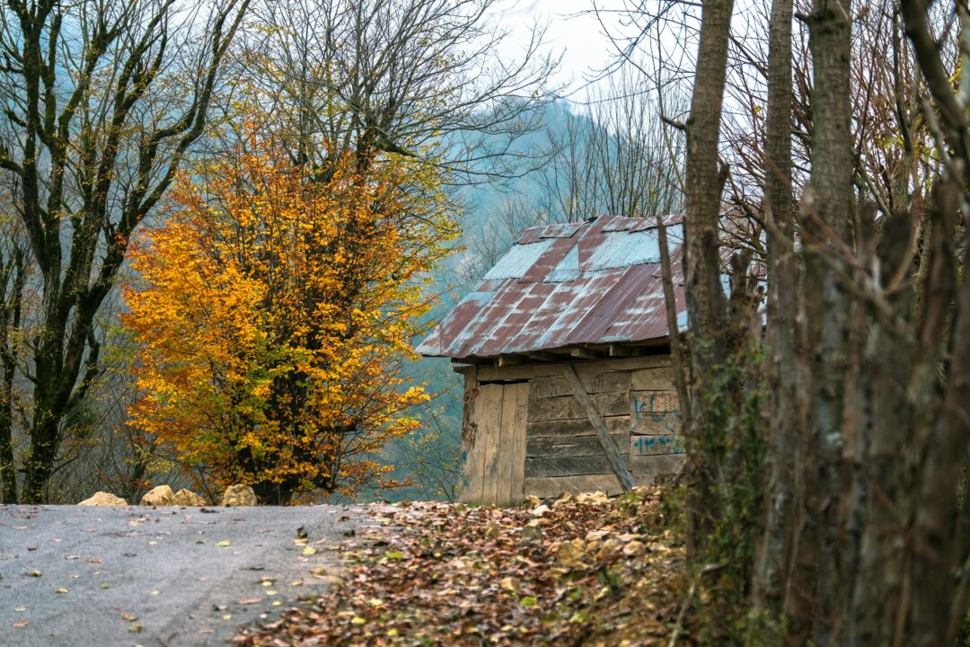 Autumn home maintenance: The must-do cleaning tasks for the season