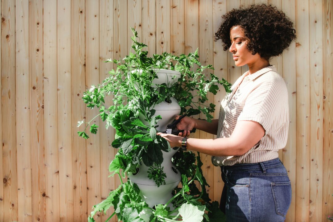 Your autumn garden cleaning guide