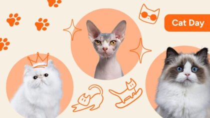 international cat day