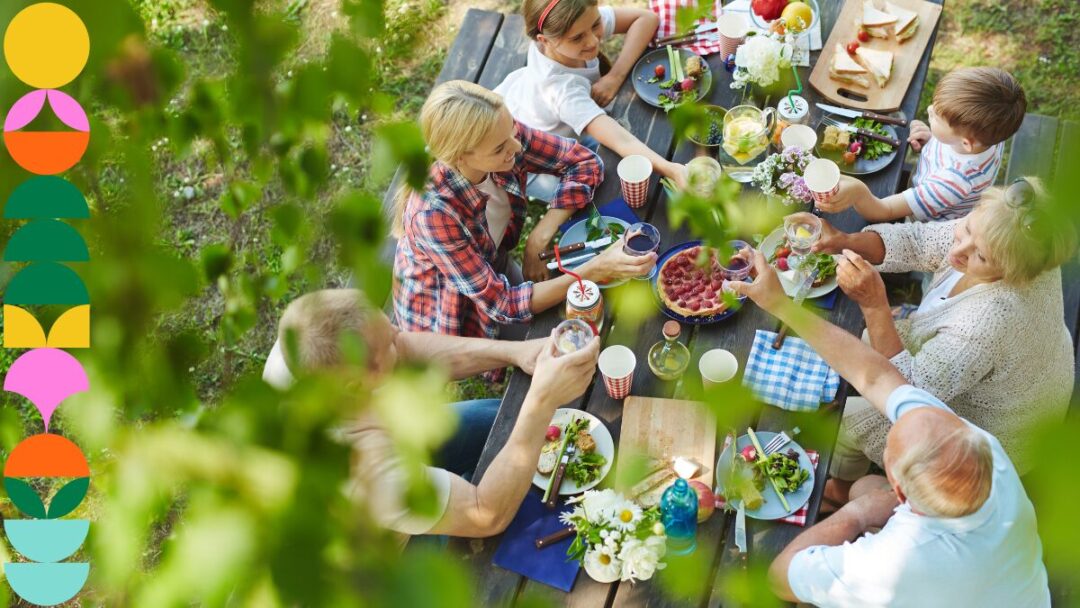 Secret Cape Town picnic spots with a view