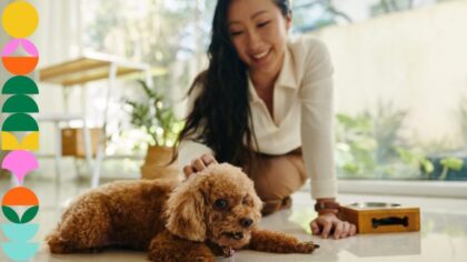 Black Friday for pet owners