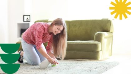 clean carpets