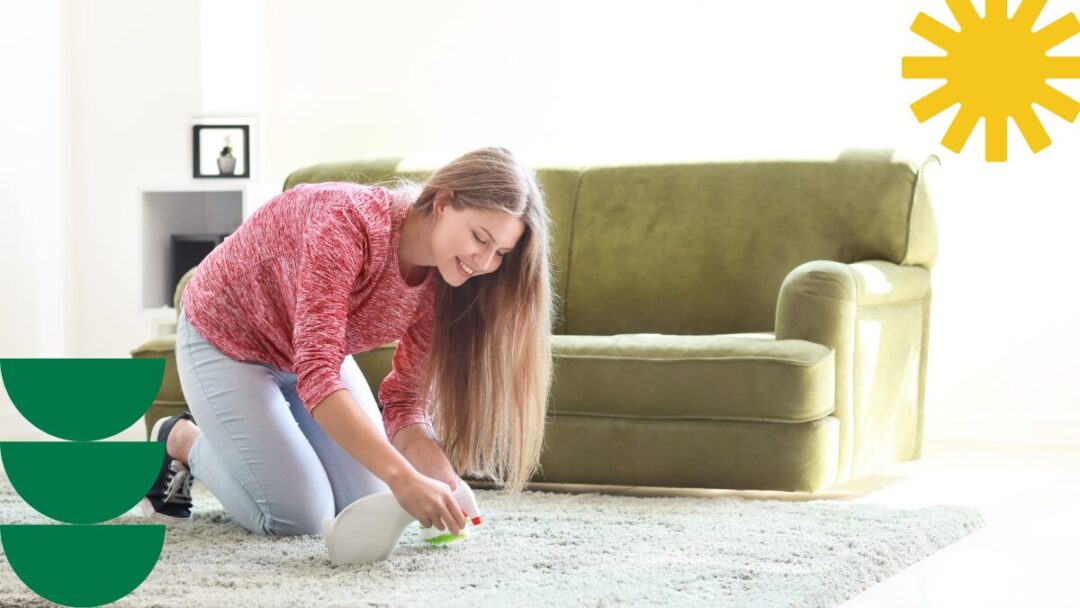 How to clean your carpets at home